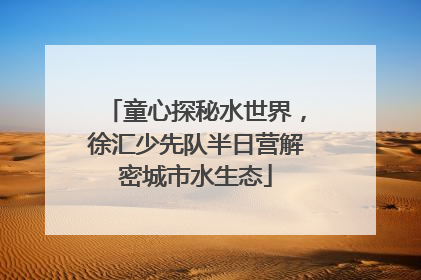 童心探秘水世界，徐汇少先队半日营解密城市水生态
