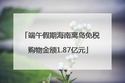 端午假期海南离岛免税购物金额1.87亿元