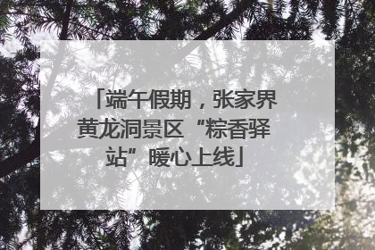 端午假期，张家界黄龙洞景区“粽香驿站”暖心上线