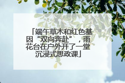 端午草木和红色基因“双向奔赴”，雨花台在户外开了一堂沉浸式思政课