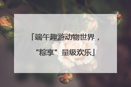 端午趣游动物世界，“粽享”量级欢乐