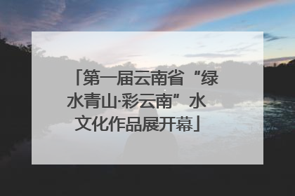第一届云南省“绿水青山·彩云南”水文化作品展开幕