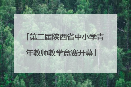 第三届陕西省中小学青年教师教学竞赛开幕