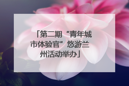 第二期“青年城市体验官”悠游兰州活动举办