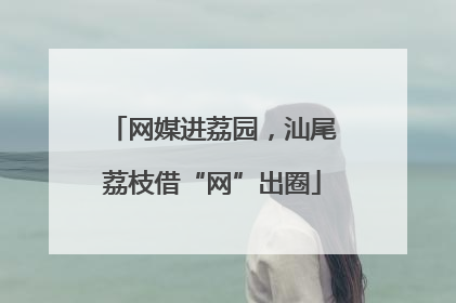 网媒进荔园，汕尾荔枝借“网”出圈
