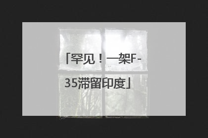 罕见！一架F-35滞留印度