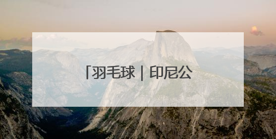羽毛球｜印尼公开赛：程星/张驰混双首轮晋级