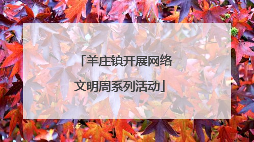 羊庄镇开展网络文明周系列活动