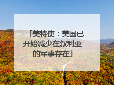 美特使：美国已开始减少在叙利亚的军事存在