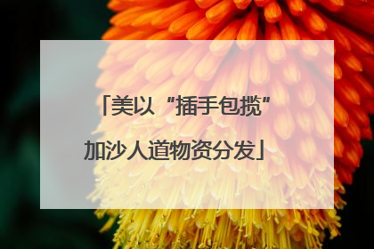 美以“插手包揽”加沙人道物资分发