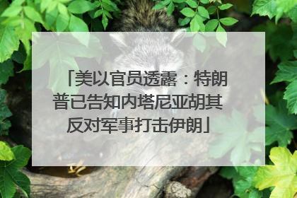 美以官员透露：特朗普已告知内塔尼亚胡其反对军事打击伊朗