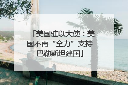 美国驻以大使：美国不再“全力”支持巴勒斯坦建国