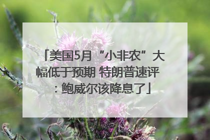 美国5月“小非农”大幅低于预期 特朗普速评：鲍威尔该降息了