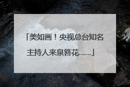 美如画！央视总台知名主持人来泉簪花……