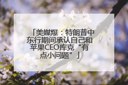 美媒爆：特朗普中东行期间承认自己和苹果CEO库克“有点小问题”
