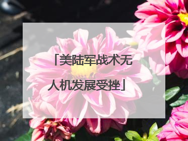 美陆军战术无人机发展受挫