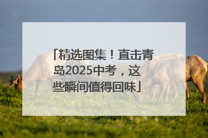 精选图集！直击青岛2025中考，这些瞬间值得回味