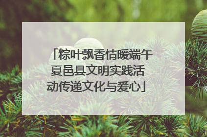 粽叶飘香情暖端午 夏邑县文明实践活动传递文化与爱心