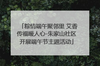 粽情端午聚邻里 艾香传福暖人心-朱家山社区开展端午节主题活动