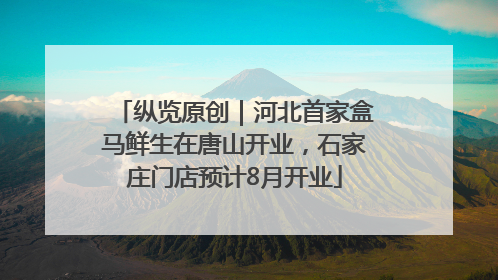 纵览原创｜河北首家盒马鲜生在唐山开业，石家庄门店预计8月开业