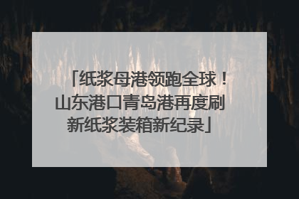 纸浆母港领跑全球！山东港口青岛港再度刷新纸浆装箱新纪录