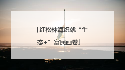 红松林海织就“生态+”富民画卷