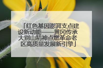红色基因澎湃支点建设新动能——黄冈传承大别山精神点燃革命老区高质量发展新引擎