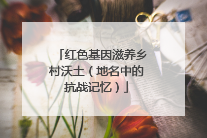 红色基因滋养乡村沃土（地名中的抗战记忆）