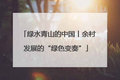 绿水青山的中国丨余村发展的“绿色变奏”