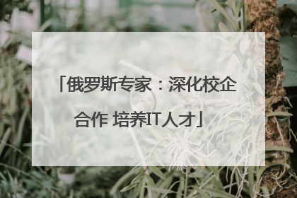 俄罗斯专家：深化校企合作 培养IT人才