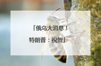 俄乌大消息！特朗普：祝贺