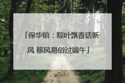 保华镇：粽叶飘香话新风 移风易俗过端午