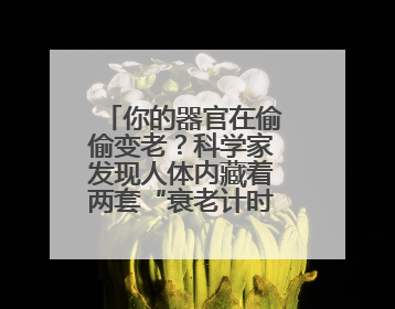 你的器官在偷偷变老？科学家发现人体内藏着两套“衰老计时器”