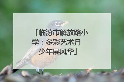 临汾市解放路小学：多彩艺术月 少年展风华