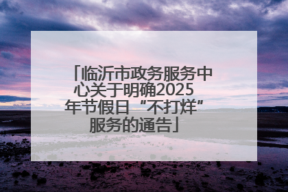临沂市政务服务中心关于明确2025年节假日“不打烊”服务的通告