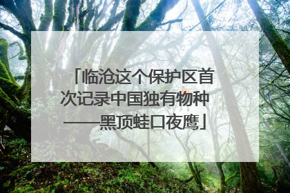 临沧这个保护区首次记录中国独有物种——黑顶蛙口夜鹰