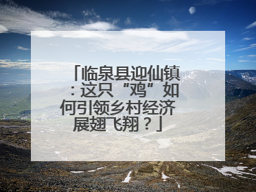 临泉县迎仙镇：这只“鸡”如何引领乡村经济展翅飞翔？