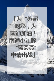 为“苏超”喝彩，为南通加油！南通小江豚“蓝叒叒”申请出战
