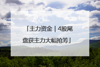 主力资金｜4股尾盘获主力大幅抢筹