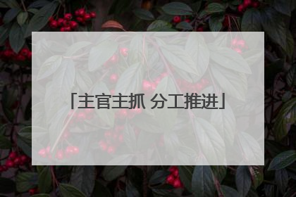 主官主抓 分工推进