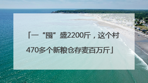 一“囤”盛2200斤，这个村470多个新粮仓存麦百万斤