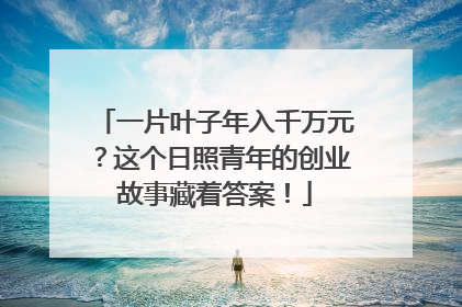 一片叶子年入千万元？这个日照青年的创业故事藏着答案！
