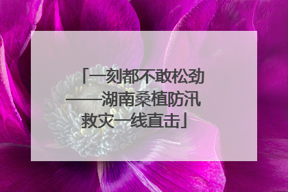 一刻都不敢松劲——湖南桑植防汛救灾一线直击