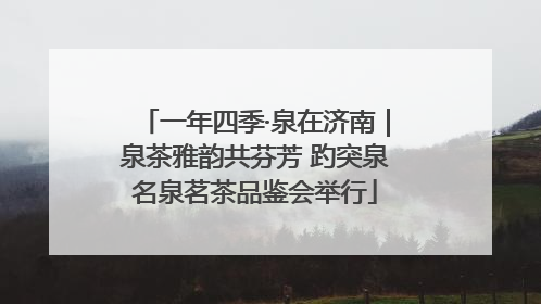 一年四季·泉在济南｜泉茶雅韵共芬芳 趵突泉名泉茗茶品鉴会举行