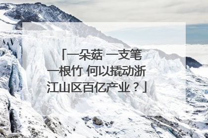 一朵菇 一支笔 一根竹 何以撬动浙江山区百亿产业？