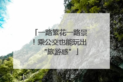 一路繁花一路景！乘公交也能玩出“旅游感”