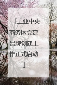 三亚中央商务区党建品牌创建工作正式启动