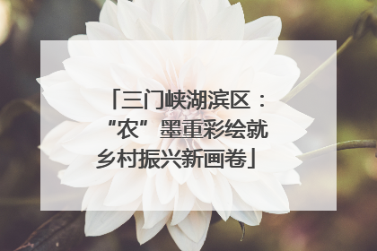 三门峡湖滨区：“农”墨重彩绘就乡村振兴新画卷