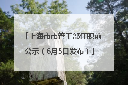 上海市市管干部任职前公示（6月5日发布）