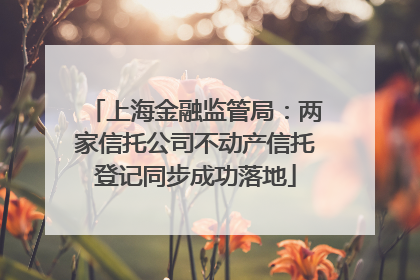 上海金融监管局：两家信托公司不动产信托登记同步成功落地